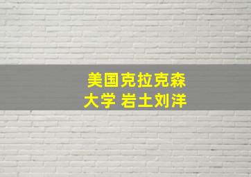 美国克拉克森大学 岩土刘洋